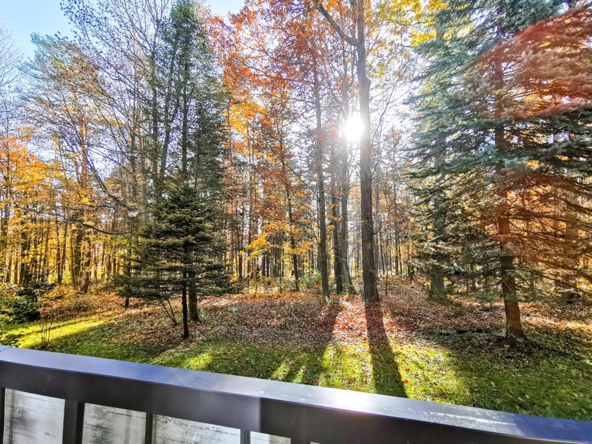 Apartament Z Widokiem Na Park Polanica-Zdrój Exterior foto