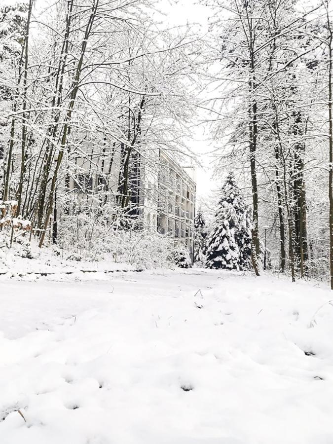 Apartament Z Widokiem Na Park Polanica-Zdrój Exterior foto